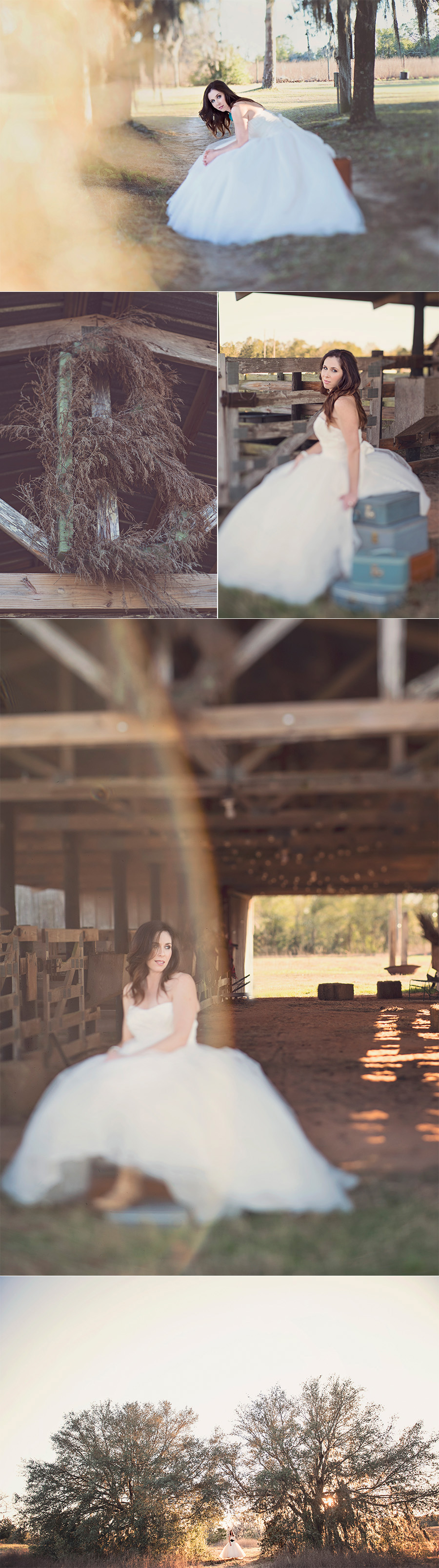 bridal portraits